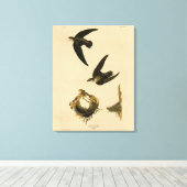 Amerikaanse Swift Audubon (Chimney), vogels van Am Canvas Afdruk (Insitu (Houten vloer))