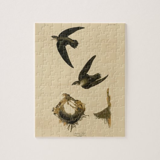 Amerikaanse Swift Audubon (Chimney), vogels van Am Legpuzzel (Verticaal)