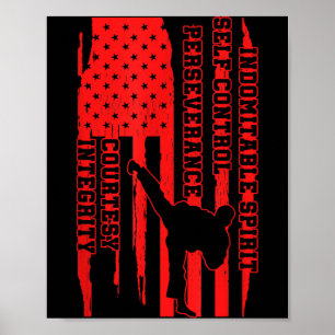 Amerikaanse Taekwondo USA Martial Arts Artist Team Poster
