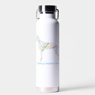 Amerikaanse tertiair woordvoerder: Cloud Water Bot Waterfles