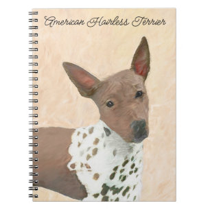 Amerikaanse tertierschilderingen zonder airconditi notitieboek