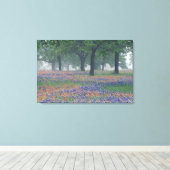 Amerikaanse, Texas, Texas Hill Country Expansive f Canvas Afdruk (Insitu (Houten vloer))
