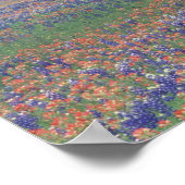 Amerikaanse, Texas, Texas Hill Country Expansive f Poster (Hoek)