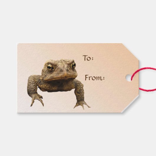 Amerikaanse Toad Pack van Gift Labels Cadeaulabel (Voorkant (Horizontaal))