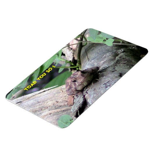 Amerikaanse toad Premium Flexi Magnet Magneet (Linkerzijde)