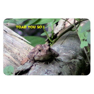Amerikaanse toad Premium Flexi Magnet Magneet