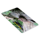 Amerikaanse toad Premium Flexi Magnet Magneet (Rechterzijde)