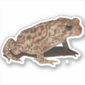 Amerikaanse Toad Vinyl Sticker (Voorkant)