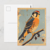  Amerikaanse torenvalk illustratie Briefkaart (Voorkant / Achterkant)