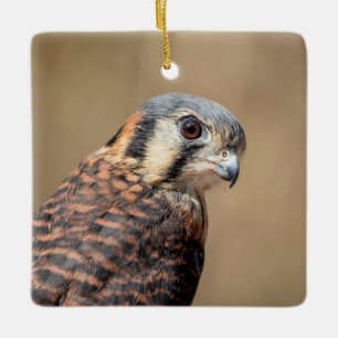 Amerikaanse torenvalk keramisch ornament
