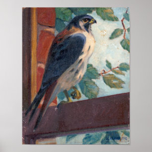 Amerikaanse torenvalk - Kulhanek Wildlife (1942) Poster