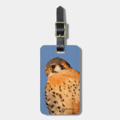 Amerikaanse torenvalk op een draad bagagelabel (Voorkant verticaal)