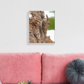 Amerikaanse Treecreeper met Bug Canvas Afdruk (Insitu (Woonkamer))