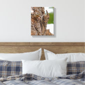 Amerikaanse Treecreeper met Bug Canvas Afdruk (Insitu (Slaapkamer))