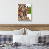 Amerikaanse Treecreeper met Bug Canvas Afdruk (Insitu (Slaapkamer))