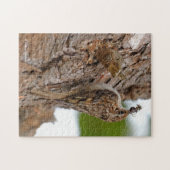 Amerikaanse Treecreeper met Bug Legpuzzel (Horizontaal)