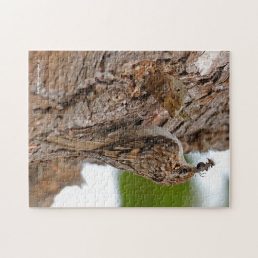 Amerikaanse Treecreeper met Bug Legpuzzel (Horizontaal)
