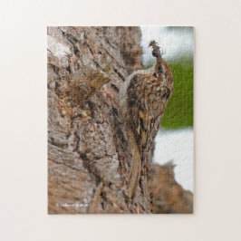 Amerikaanse Treecreeper met Bug Legpuzzel