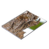 Amerikaanse Treecreeper met Bug Notitieboek (Linkerzijde)