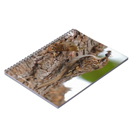 Amerikaanse Treecreeper met Bug Notitieboek (Linkerzijde)