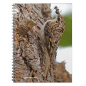 Amerikaanse Treecreeper met Bug Notitieboek (Voorkant)