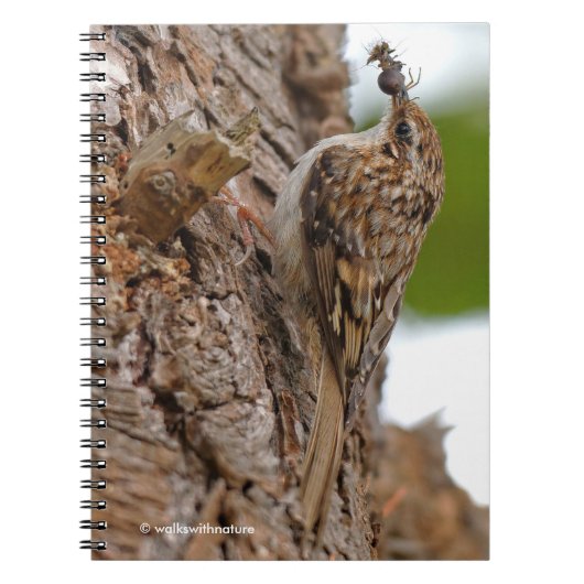 Amerikaanse Treecreeper met Bug Notitieboek (Voorkant)