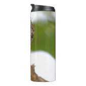 Amerikaanse Treecreeper met Bug Thermosbeker (Geroteerd rechts)