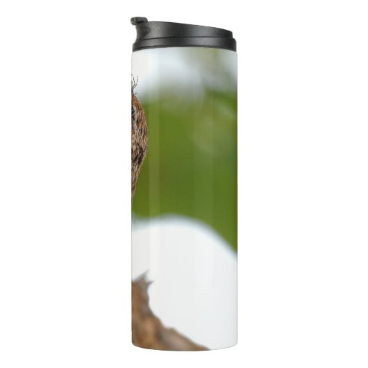 Amerikaanse Treecreeper met Bug Thermosbeker (Geroteerd rechts)