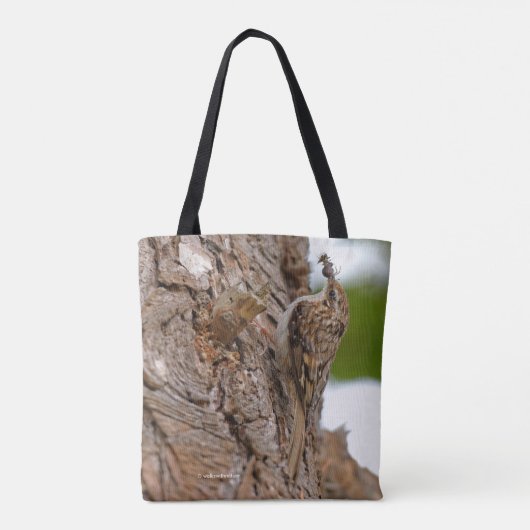 Amerikaanse Treecreeper Songbird met Tasty Bug Tote Bag (Achterkant)