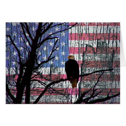 Amerikaanse trots (Voorkant Horizontaal)