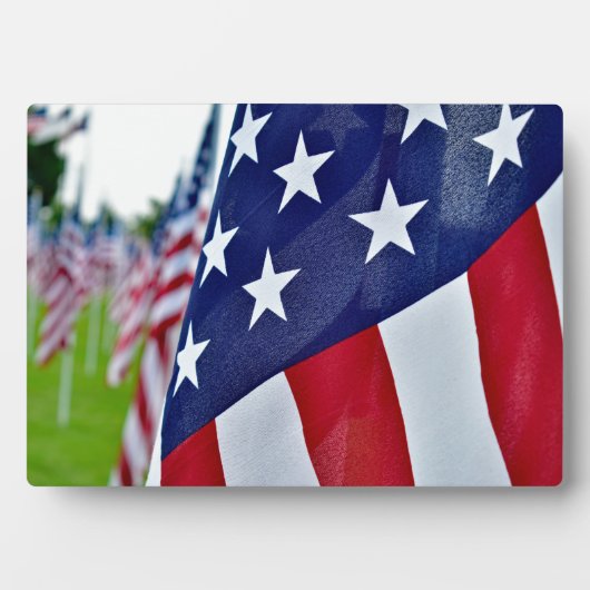 Amerikaanse trots fotoplaat (voorkant)