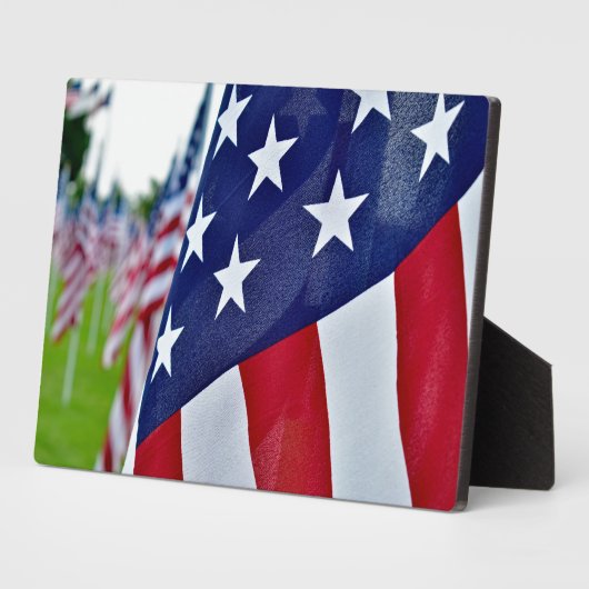 Amerikaanse trots fotoplaat (Zijkant)