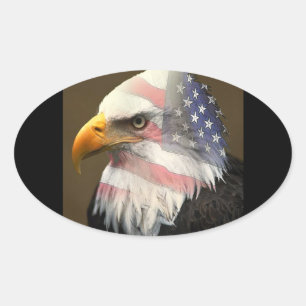 amerikaanse trots ovale sticker