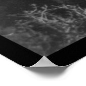 Amerikaanse Universiteit van Beiroet, Libanon 1921 Poster (Hoek)