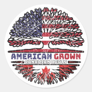 Amerikaanse US Verenigde Staten United States Tree Ronde Sticker