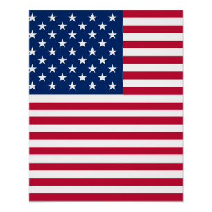 Amerikaanse USA Vlag Trots Design Perfect Poster