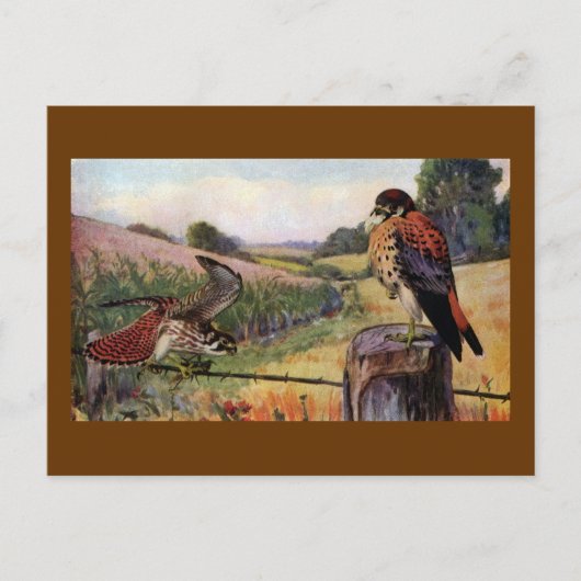 Amerikaanse vaten op een muur briefkaart (Voorkant)