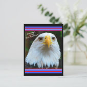 Amerikaanse verkiezingen Bald Eagle alstublieft se Briefkaart (Staand voorkant)