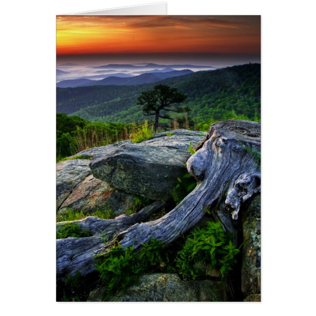 Amerikaanse, Virginia, Shenandoah National Park. (Voorkant)