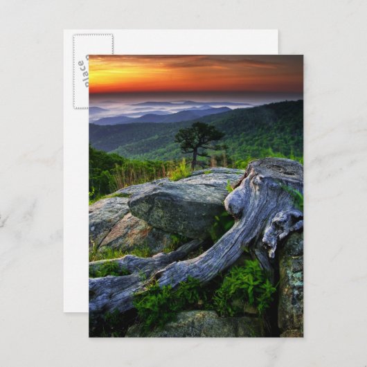 Amerikaanse, Virginia, Shenandoah National Park. Briefkaart (Voorkant / Achterkant)