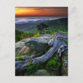 Amerikaanse, Virginia, Shenandoah National Park. Briefkaart (Voorkant)