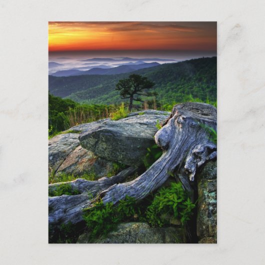 Amerikaanse, Virginia, Shenandoah National Park. Briefkaart (Voorkant)