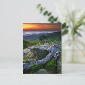 Amerikaanse, Virginia, Shenandoah National Park. Briefkaart (Staand voorkant)