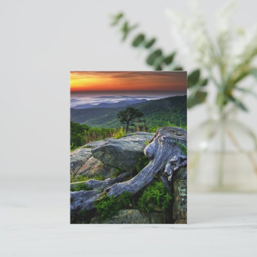 Amerikaanse, Virginia, Shenandoah National Park. Briefkaart (Staand voorkant)