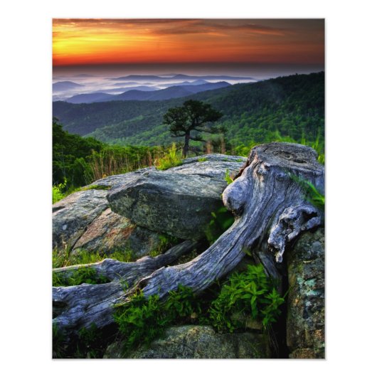 Amerikaanse, Virginia, Shenandoah National Park. Foto Afdruk (Voorkant)