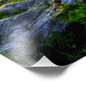 Amerikaanse, Virginia, Shenandoah National Park. Foto Afdruk (Hoek)