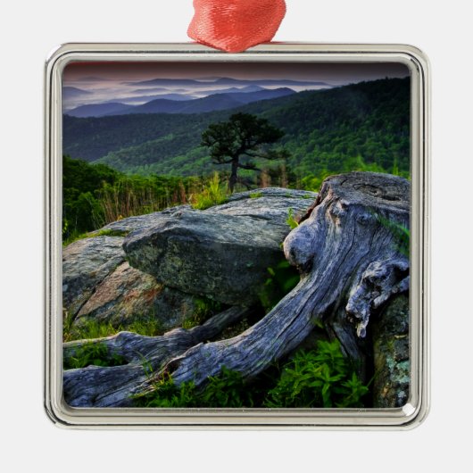 Amerikaanse, Virginia, Shenandoah National Park. Metalen Ornament (Voorkant)