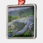 Amerikaanse, Virginia, Shenandoah National Park. Metalen Ornament (Links)