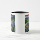 Amerikaanse, Virginia, Shenandoah National Park. Mok (Midden)