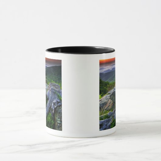 Amerikaanse, Virginia, Shenandoah National Park. Mok (Midden)